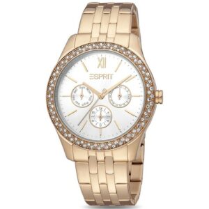 Montre Femme Esprit ES1L201M1035