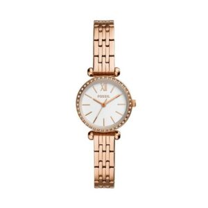 Montre Femme Fossil BQ3497