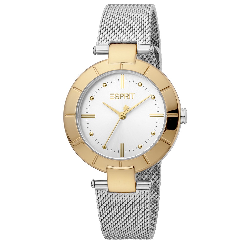 Montre Esprit Femme ES1L287M2095