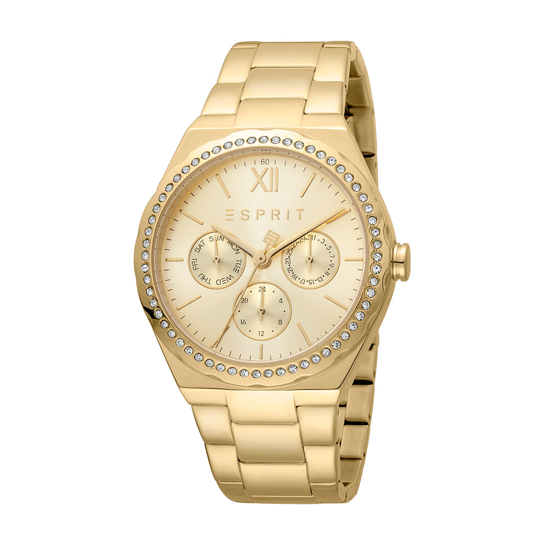 Montre Femme Esprit ES1L193M0065