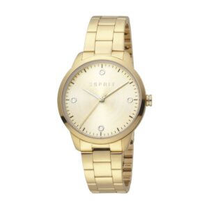 Montre Femme Esprit ES1L164M0055