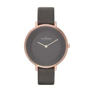 Skagen Femme SKW2216