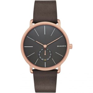 Montre Homme Skagen SKW6213