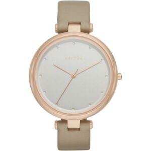 Montre Femme Skagen SKW2484
