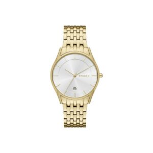 Montre Femme Skagen SKW2389