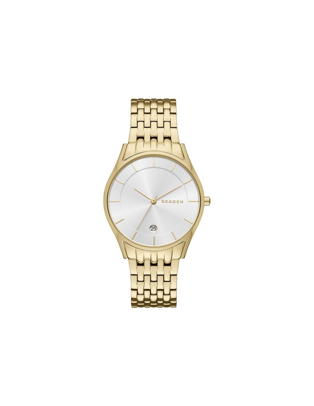 Montre Femme Skagen SKW2389