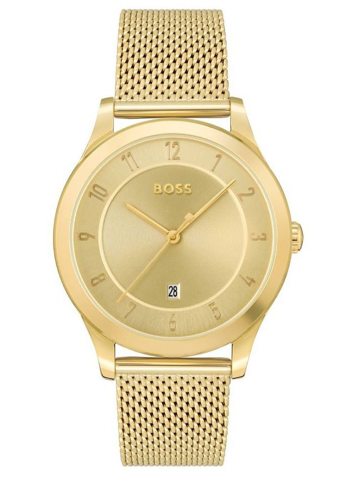 Montre Homme Boss 1513982