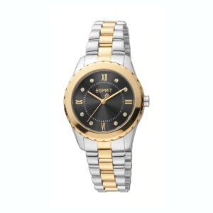 Montre Esprit Femme ES1L320M0085