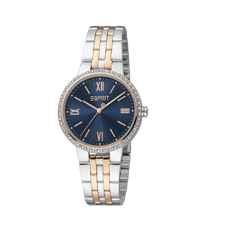 Montre Esprit Femme ES1L333M0105