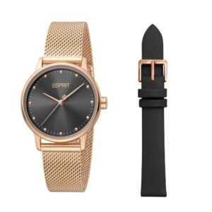 Montre Esprit Femme ES1L334M0095