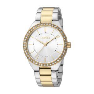 Montre Esprit Femme ES1L326M0085