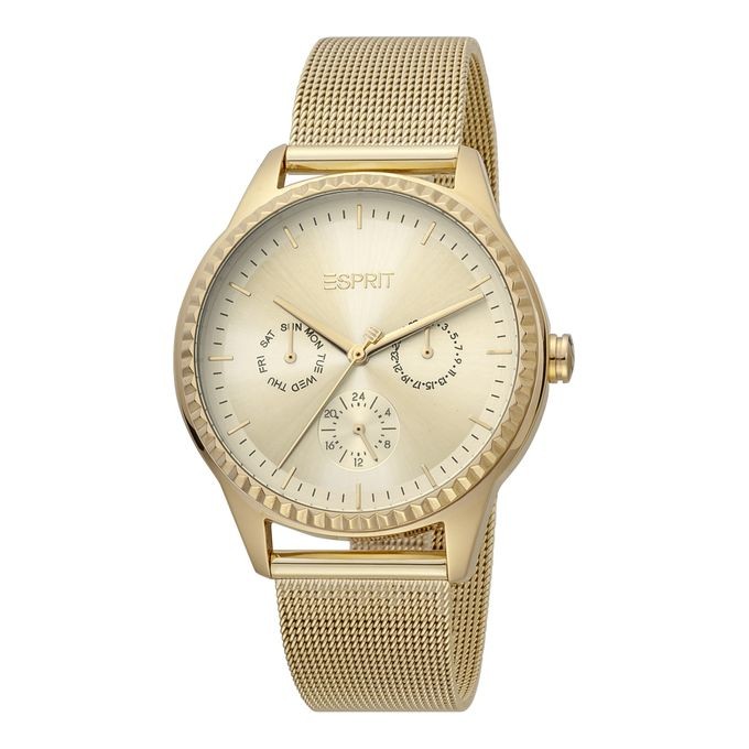 Montre Femme Esprit ES1L220M0025