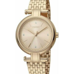 Montre Femme Esprit ES1L268M0065