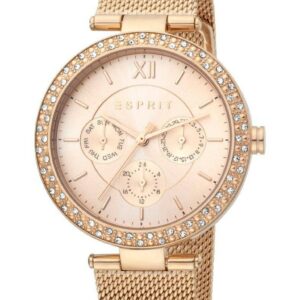 Montre Femme Esprit ES1L189m0095
