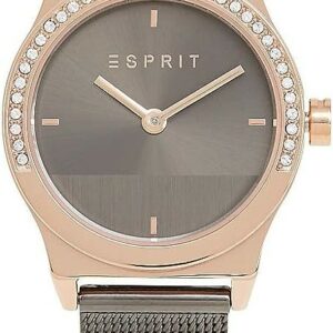Montre Femme Esprit ES1L091M0075