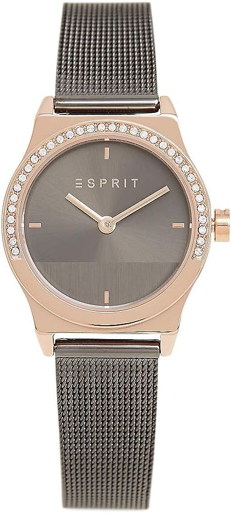 Montre Femme Esprit ES1L091M0075