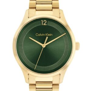 Montre Homme Calvin Klein 25200229