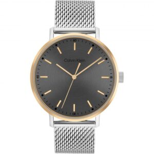 Montre Homme Calvin Klein 25200047