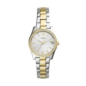 Montre Femme Fossil ES4319