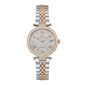 Montre Femme GC Z01014L1MF