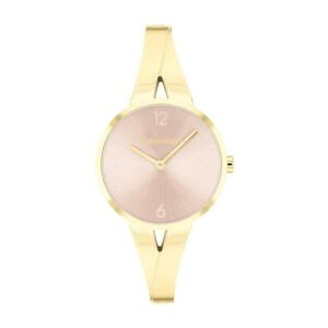 Montre Femme Calvin Klein 25100027
