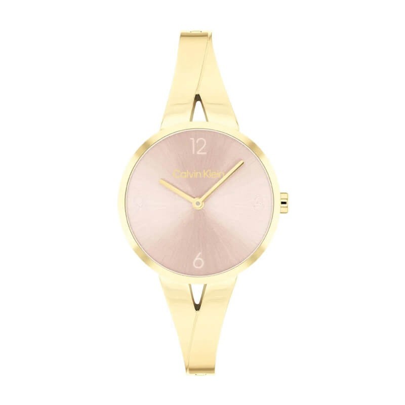 Montre Femme Calvin Klein 25100027