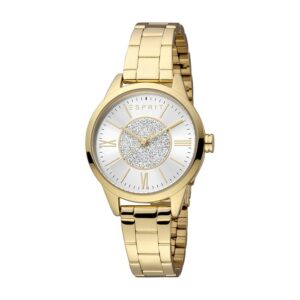 MONTRE ESPRIT FEMME ES1L385M0065