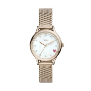 Montre pour femmes FOSSIL BQ3594
