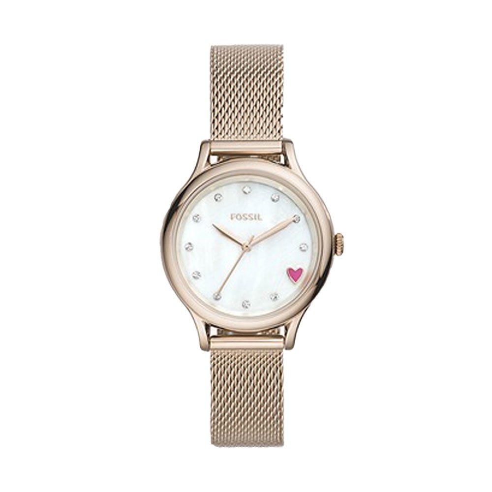 Montre pour femmes FOSSIL BQ3594