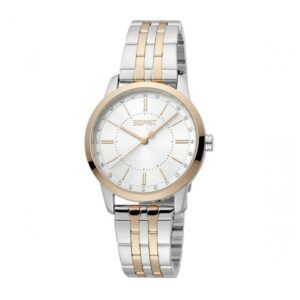 Montre pour femmes ESPRIT ES1L276M0085