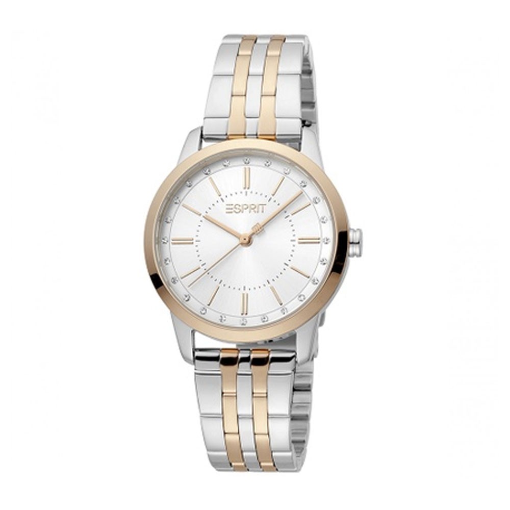 Montre pour femmes ESPRIT ES1L276M0085