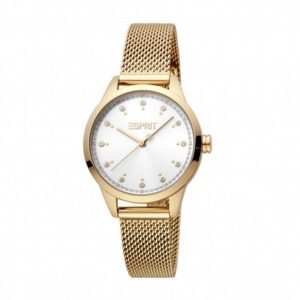 Montre pour femmes ESPRIT ES1L259M1085