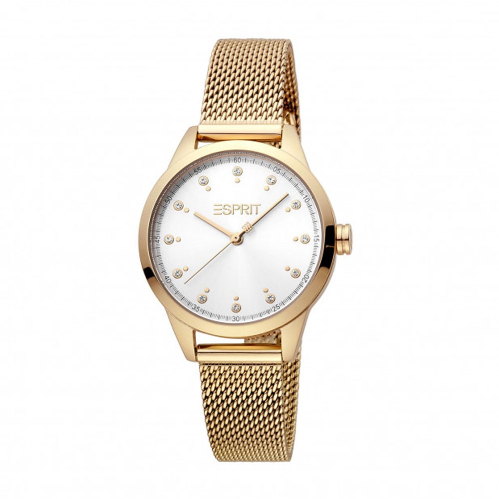 Montre pour femmes ESPRIT ES1L259M1085